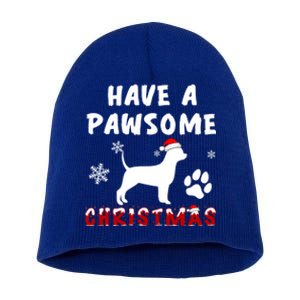 Chihuahua Have A Pawsome Christmas Gift Short Acrylic Beanie