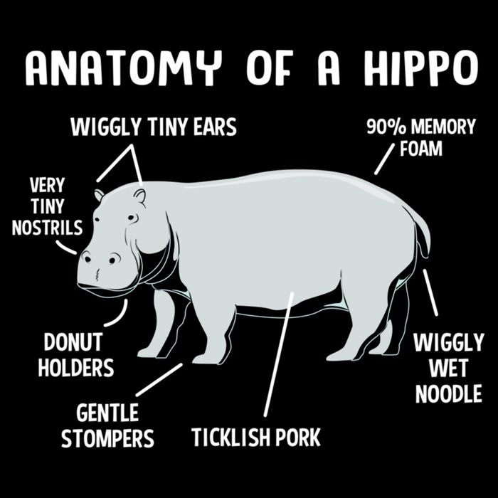Cute Hippopotamus Anatomy Of A Hippo For Cool Gift Backpack