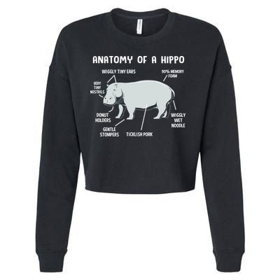 Cute Hippopotamus Anatomy Of A Hippo For Cool Gift Cropped Pullover Crew