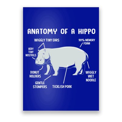 Cute Hippopotamus Anatomy Of A Hippo For Cool Gift Poster