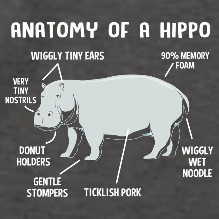 Cute Hippopotamus Anatomy Of A Hippo For Cool Gift Vector Backpack