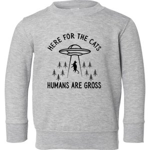 Cats Humans Are Gross Humor Toddler Sweatshirt