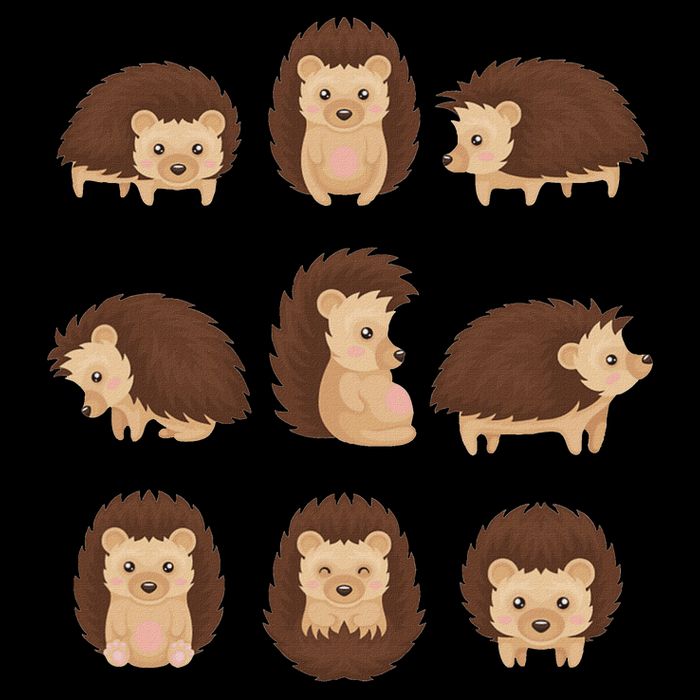 Cute Hedgehog Animal Forest Nature Hedgehog 16 in Basic Backpack
