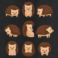 Cute Hedgehog Animal Forest Nature Hedgehog Adult Drive Performance Visor
