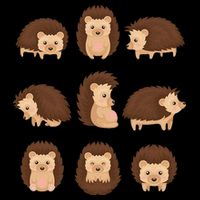 Cute Hedgehog Animal Forest Nature Hedgehog Bucket Hat