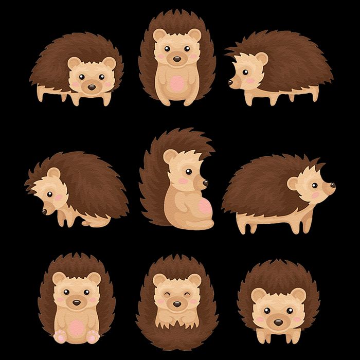Cute Hedgehog Animal Forest Nature Hedgehog Bucket Hat