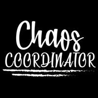 Chaos Coordinator Cropped Pullover Crew