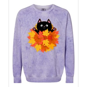 Cute Happy Black Cat Fall Autumn Leaves Colorblast Crewneck Sweatshirt