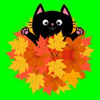 Cute Happy Black Cat Fall Autumn Leaves Kids T-Shirt