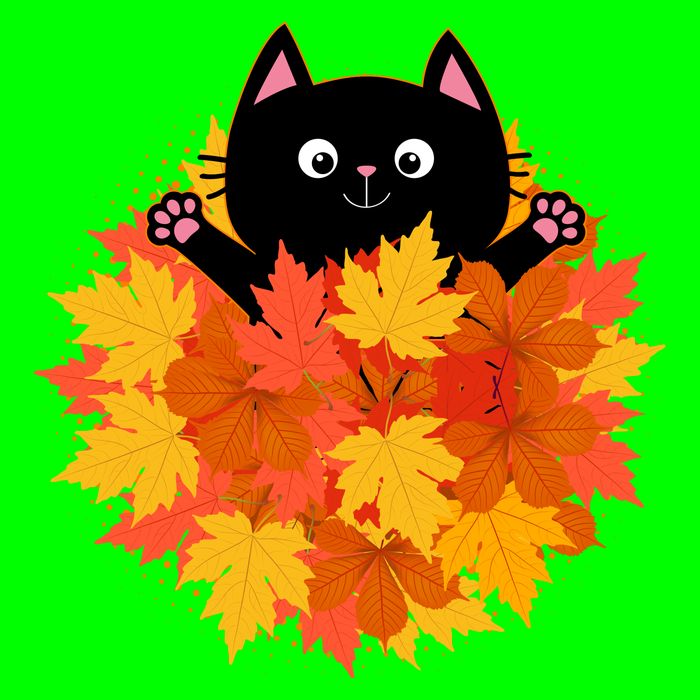 Cute Happy Black Cat Fall Autumn Leaves Kids T-Shirt