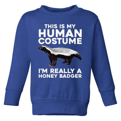 Cute Honey Badger Design Honey Badger Lover Toddler Sweatshirt