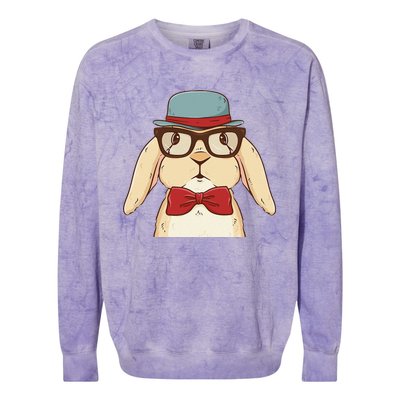 Cute Hipster Bunny Funny Retro Lovers Colorblast Crewneck Sweatshirt