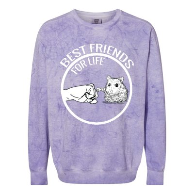 Cute Hamster Best Friends For Life Gift Colorblast Crewneck Sweatshirt