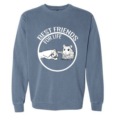 Cute Hamster Best Friends For Life Gift Garment-Dyed Sweatshirt