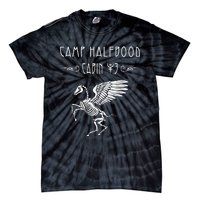 Camp Half blood Cabin Hades Lover Tie-Dye T-Shirt