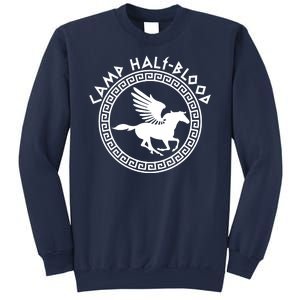 Camp Half Blood Olympian Training Game Sweatshirt