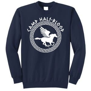 Camp Half Blood Olympian Training Game Tall Sweatshirt