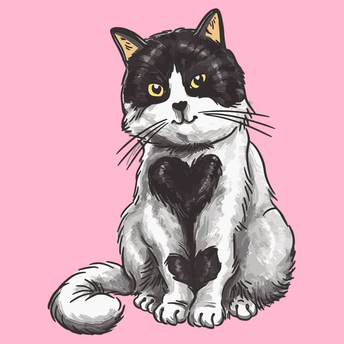 Cat Heart Cute Poster