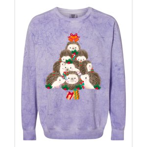 Cute Hedgehog Christmas Tree Funny Pajamas Xmas For Family Colorblast Crewneck Sweatshirt