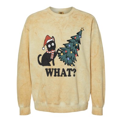 Cute Holiday Christmas Xmas Cat Cats Funny Tree Lights Colorblast Crewneck Sweatshirt