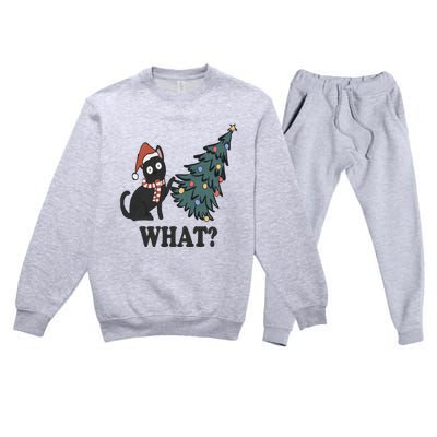 Cute Holiday Christmas Xmas Cat Cats Funny Tree Lights Premium Crewneck Sweatsuit Set