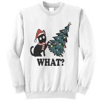 Cute Holiday Christmas Xmas Cat Cats Funny Tree Lights Sweatshirt