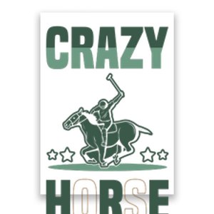 Crazy Horse Poster