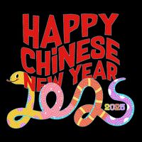 Cute Happy Chinese New Year 2025 Year Of The Snake Womens T-Shirt
