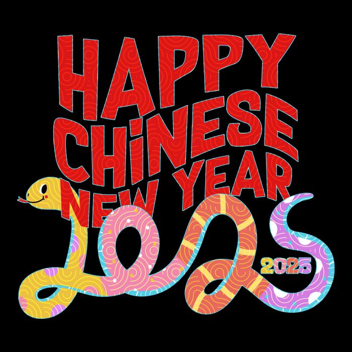 Cute Happy Chinese New Year 2025 Year Of The Snake Womens T-Shirt