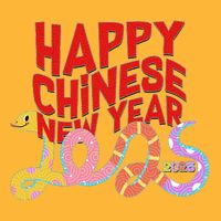 Cute Happy Chinese New Year 2025 Year Of The Snake Premium T-Shirt