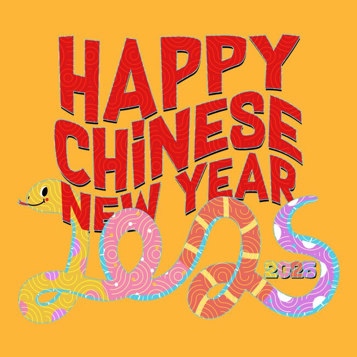 Cute Happy Chinese New Year 2025 Year Of The Snake Premium T-Shirt