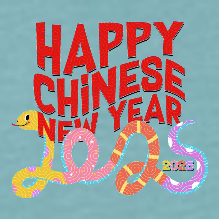 Cute Happy Chinese New Year 2025 Year Of The Snake Sueded Cloud Jersey T-Shirt