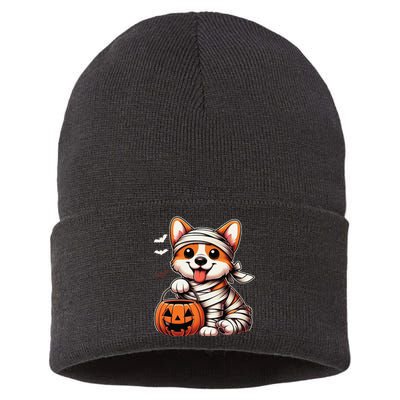 Cute Halloween Costume Welsh Corgi Mummy Dog Lover Sustainable Knit Beanie