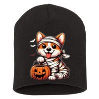 Cute Halloween Costume Welsh Corgi Mummy Dog Lover Short Acrylic Beanie