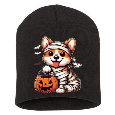 Cute Halloween Costume Welsh Corgi Mummy Dog Lover Short Acrylic Beanie