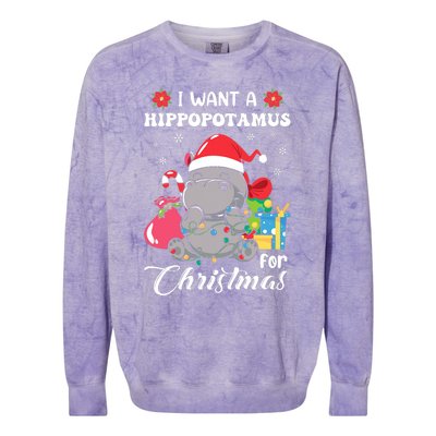 Christmas Hippopotamus Cute Xmas Hippo In Santa Hat Colorblast Crewneck Sweatshirt