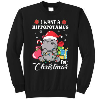 Christmas Hippopotamus Cute Xmas Hippo In Santa Hat Sweatshirt