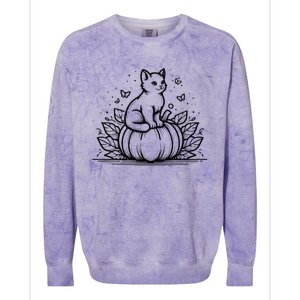 Cute Halloween Cat Setting On A Pumpkin For Cute Cat Lover Colorblast Crewneck Sweatshirt