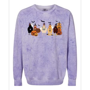 Cute Halloween Chicken Chicken Lover Halloween Gift Farmer Halloween Colorblast Crewneck Sweatshirt