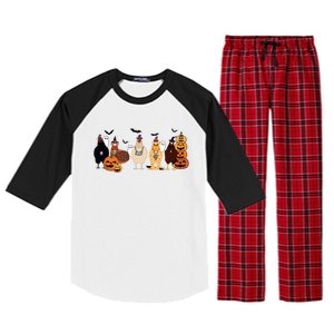 Cute Halloween Chicken Chicken Lover Halloween Gift Farmer Halloween Raglan Sleeve Pajama Set