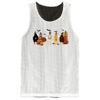 Cute Halloween Chicken Chicken Lover Halloween Gift Farmer Halloween Mesh Reversible Basketball Jersey Tank