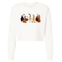 Cute Halloween Chicken Chicken Lover Halloween Gift Farmer Halloween Cropped Pullover Crew