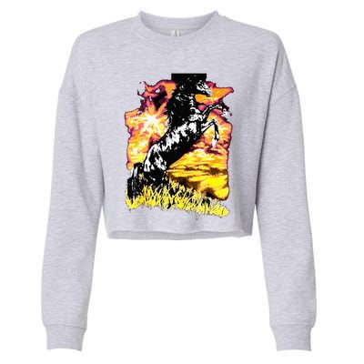 Charlie Horse Cropped Pullover Crew