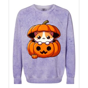 Cute Halloween Cat In Pumpkin – Adorable Halloween Colorblast Crewneck Sweatshirt