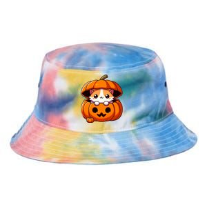 Cute Halloween Cat In Pumpkin – Adorable Halloween Tie Dye Newport Bucket Hat