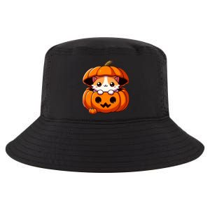 Cute Halloween Cat In Pumpkin – Adorable Halloween Cool Comfort Performance Bucket Hat