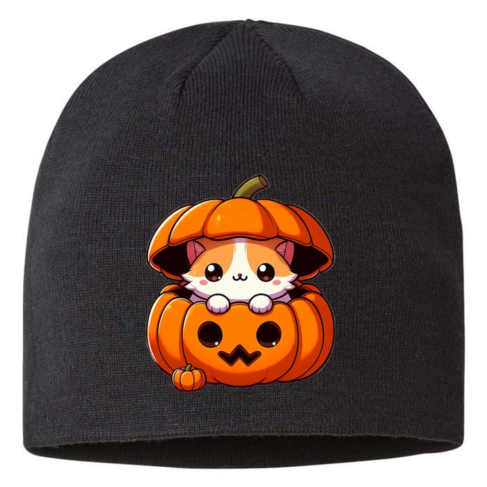 Cute Halloween Cat In Pumpkin – Adorable Halloween Sustainable Beanie