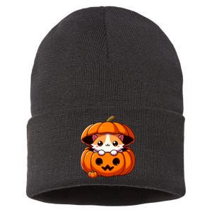 Cute Halloween Cat In Pumpkin – Adorable Halloween Sustainable Knit Beanie