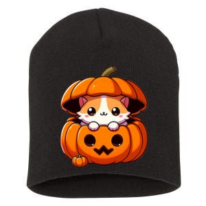 Cute Halloween Cat In Pumpkin – Adorable Halloween Short Acrylic Beanie