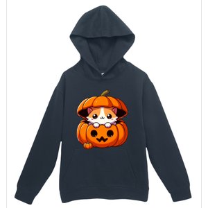 Cute Halloween Cat In Pumpkin – Adorable Halloween Urban Pullover Hoodie